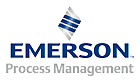 Emerson Process Management GmbH & Co. OHG Logo